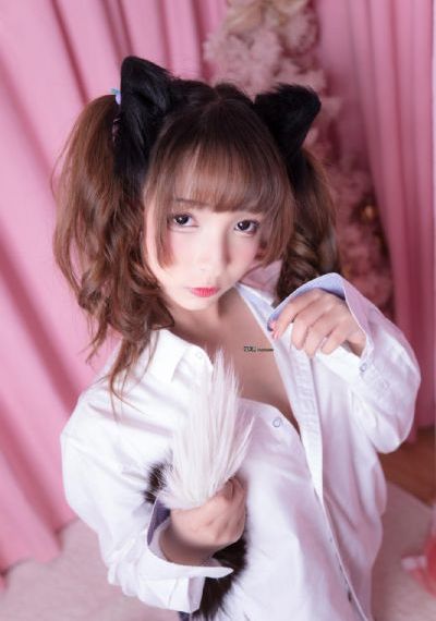 盒子里的猫在线观看视频全集高清