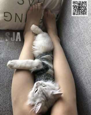 带你飞