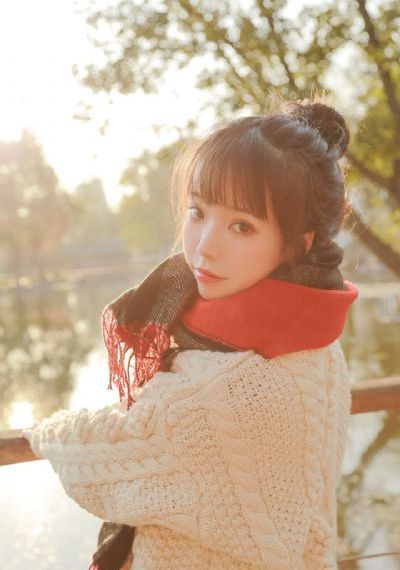 细狗网页版免费登录入口