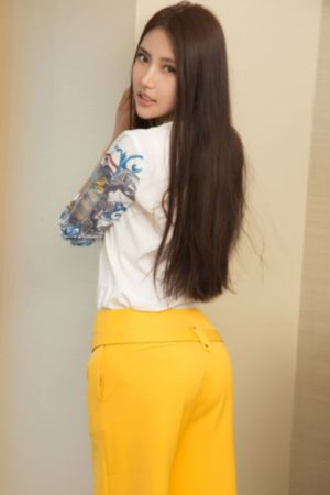 高官性h系列小说