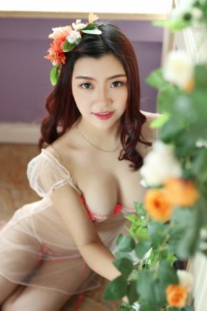 所有动漫高清在线看免费