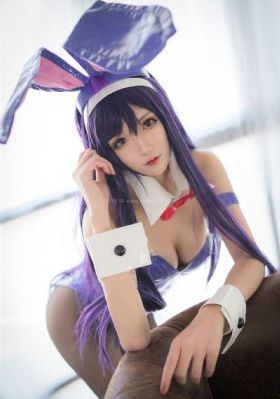 新星电视剧