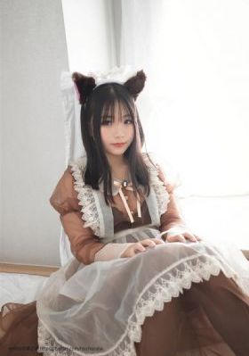 巡回检察组电视剧免费观看完整版