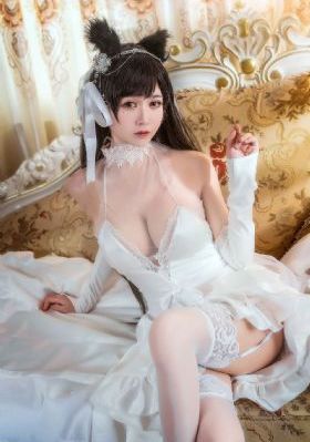 向着炮火前进 电视剧全集